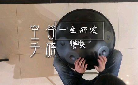 一生的所爱是什么歌