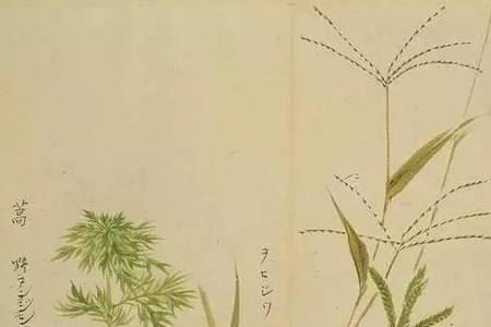 诗经中带陶的诗句