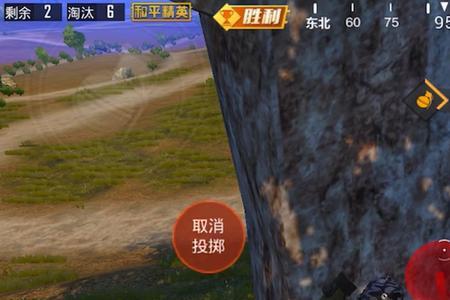 为什么和平精英扔不了雷