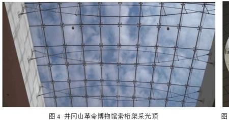 索状结构