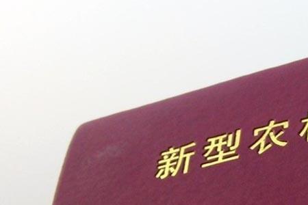 新农合一家四口可以交一个吗