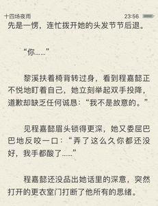十四场夜雨结局
