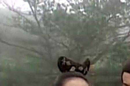 绝代双骄2霸道剧情