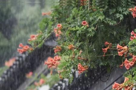 阴雨当道的意思