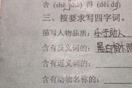 问东问西近义词