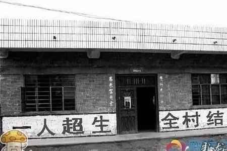 农村计生子女什么意思