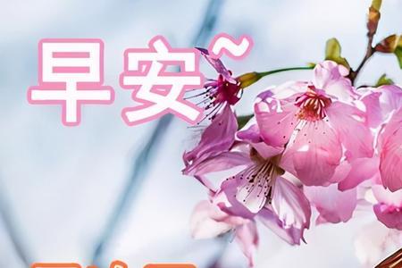 冬天早上好问候图片