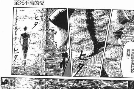 至死不渝的爱讲了什么
