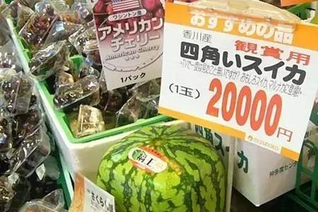 一个大西瓜等于多少个苹果