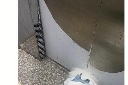 羊毛被洗完一坨一坨的怎么弄