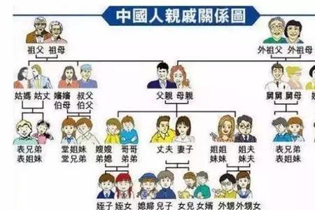 父母亲戚哪边血缘更近