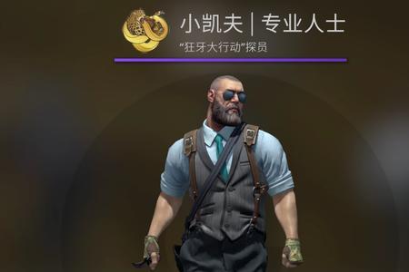 csgo女探员贾米森好吗