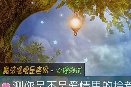 爱情的拾荒者什么意思