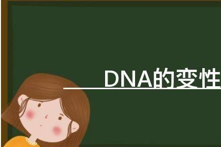 dna的变性指的是什么