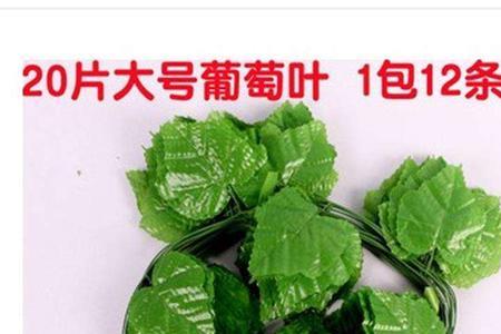 买来的绿叶怎么缠绕空调管