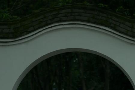 青衫烟雨客什么意思