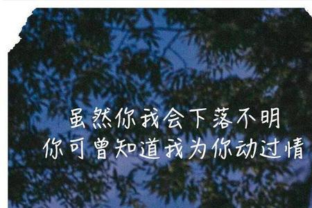 你可曾知道我已为你而燃烧歌词