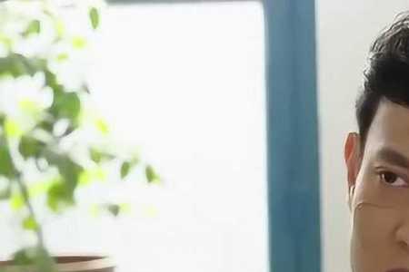 养母的花样年华石头身世