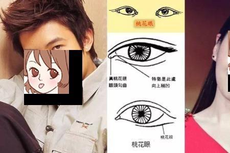 桃花眼的标准图片