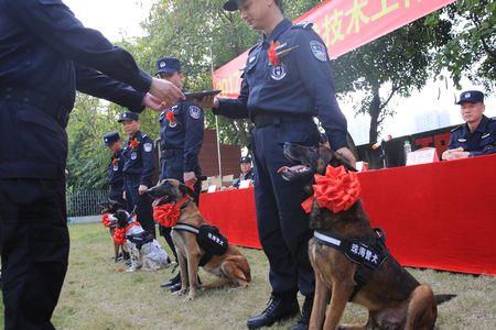 人失踪可以请求动用警犬吗