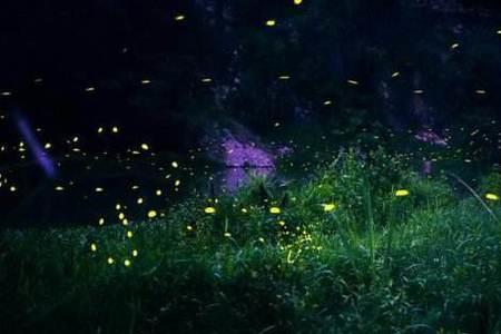 夏夜古诗赏析及意思