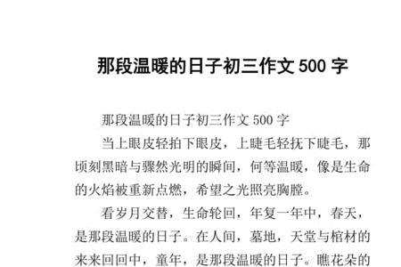 那段温暖的阳光作文提纲