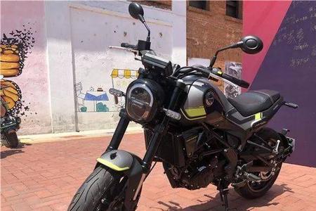 幼狮250电瓶型号