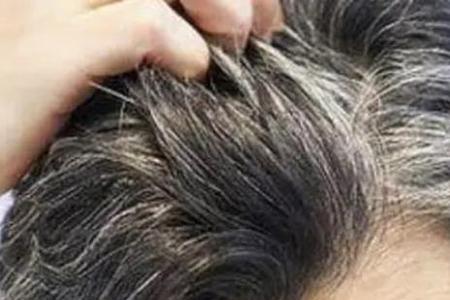 养儿白发染双鬓是什么意思