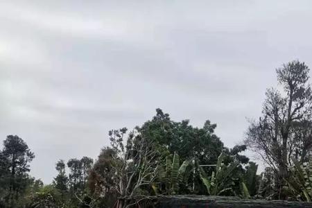 江心岛一圈多少米