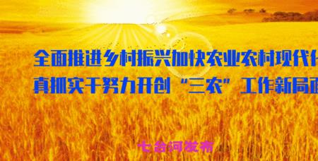 农村现代化主要内容