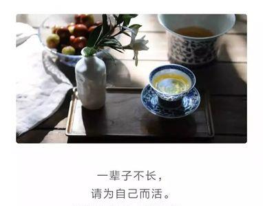 不争不恋的意思