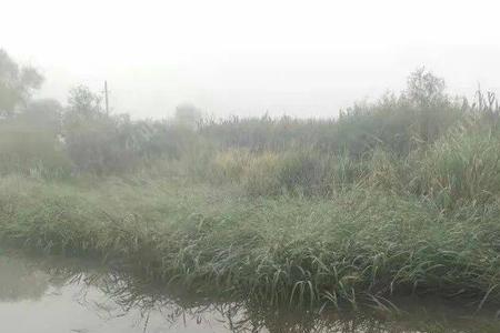 在大河钓鱼用19好还是28好