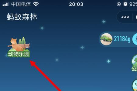 支付宝保护地怎么兑换