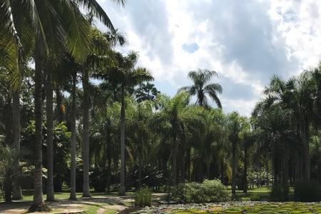 西双版纳植物园东西区差别