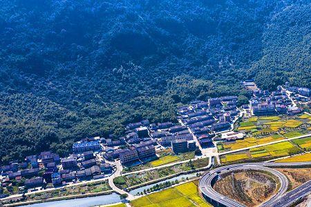 228国道平阳瑞安段什么时候通车