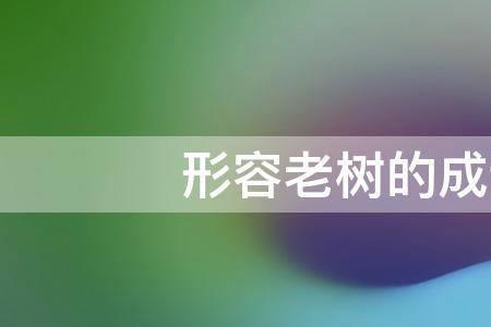 一辈子很长又一辈子很短的成语