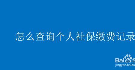 儿童社保缴费记录怎么查