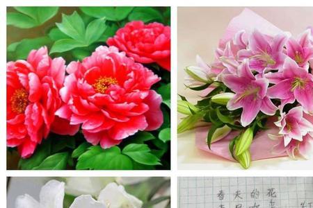 仿写春天的花的句子