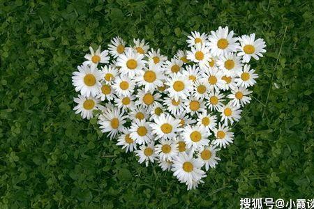 阳光青春活力的句子