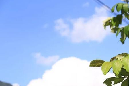 为什么夏天的风吹的凉嗖嗖的