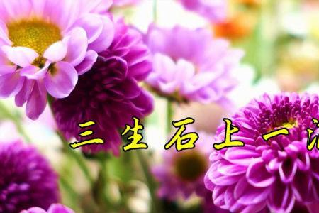 三生石下的一滴泪原唱完整版