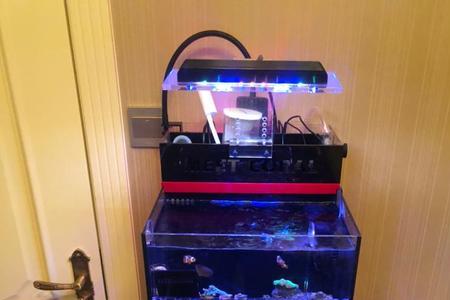 海缸水位留多少合适