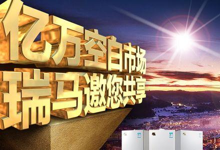 瑞马壁挂炉是几线品牌