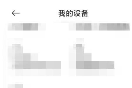 版本号的开发者模式是什么