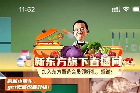 东方yoyo多大了