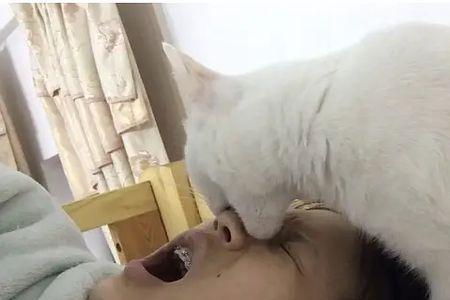 他喵的是什么意思