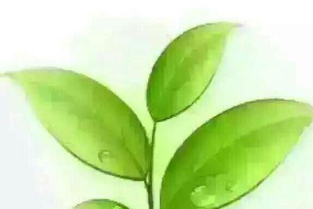 别人请你喝茶怎么答应