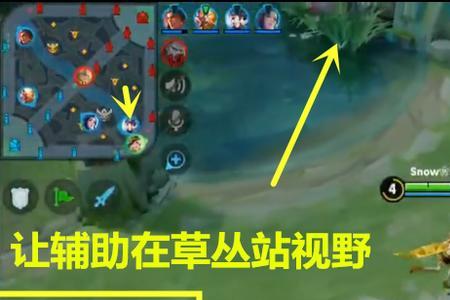 虞姬小国标一般多少名比较稳