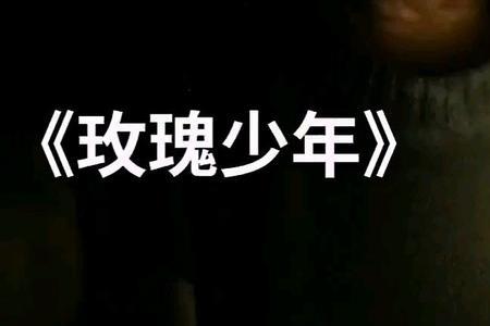 玫瑰少年是哪年发布
