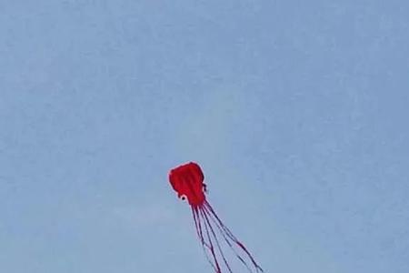 风太大以至于我们不能放风筝